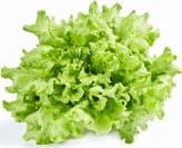 Lambahagi salat í potti 150 gr