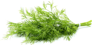 G&V Dill 50 gr