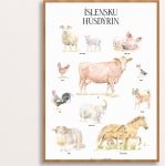 Íslensku húsdýrin - plakat 50x70 cm