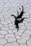Leir