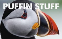 Puffin Stuff