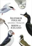 Spilastokkur Íslenskir fuglar