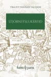 Stjórnsýslukerfið