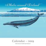 Whales around Iceland: Calendar 2019