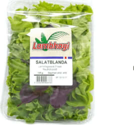 Lambhagi Salatblanda