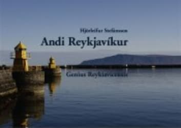 Andi Reykjavíkur