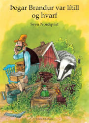 Þegar Brandur var lítill og hvarf