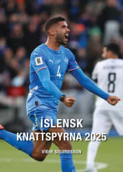 Íslensk knattspyrna 2025