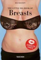 Little Book of Big Breasts