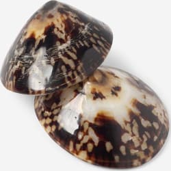 Brjóstaskeljar náttúrulegar S low