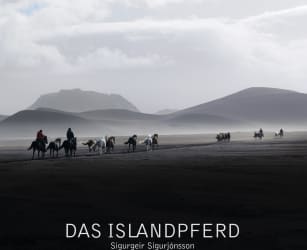 Das Islandspferd