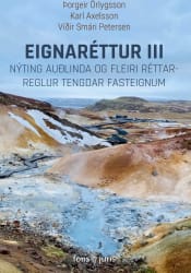 Eignaréttur III