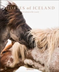 Mountain rides on Icelandic horses