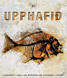 Upphafið - forsaga lífsins