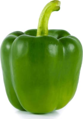 Paprika græn holland