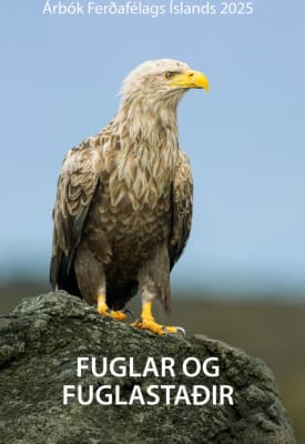 Árbók 2025: Fuglar og fuglastaðir