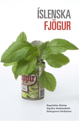 Íslenska fjögur