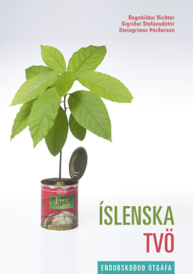 Íslenska tvö