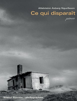 Ce qui disparaît - poèmes