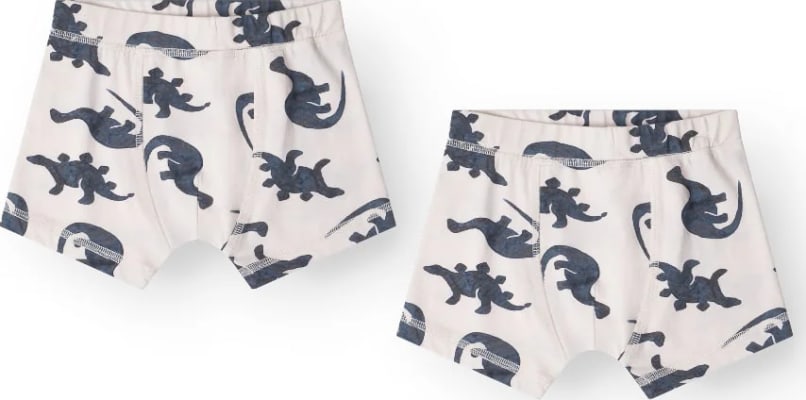 Ebbe boxernærbuxur 2-pack – Mono dino