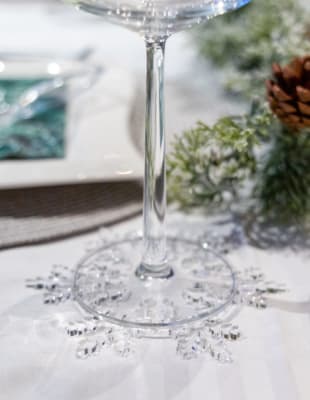 Glasabakkar frostrósir