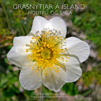 Grasnytjar á Íslandi - þjóðtrú og saga