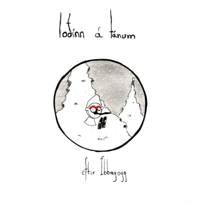 Loðinn á tánum