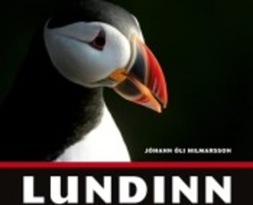 Lundinn