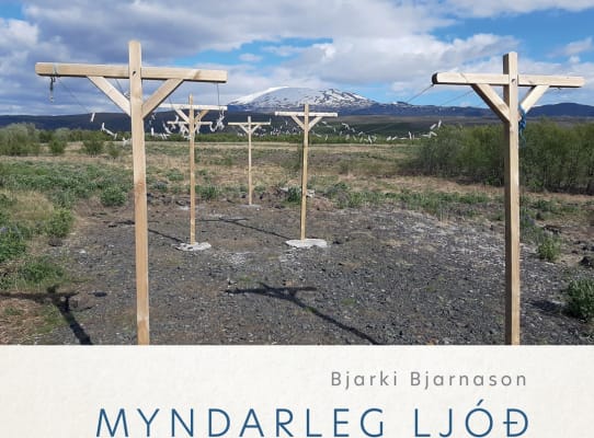 Myndarleg ljóð
