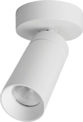 S16 Spot Fixed Mounting White