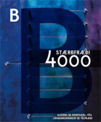 Stærðfræði 4000 - B