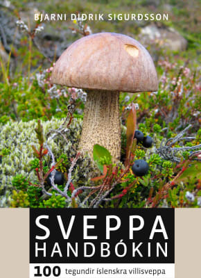 Sveppahandbókin