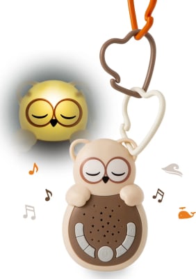 Sweet Dreamz On the Go™ – Owl