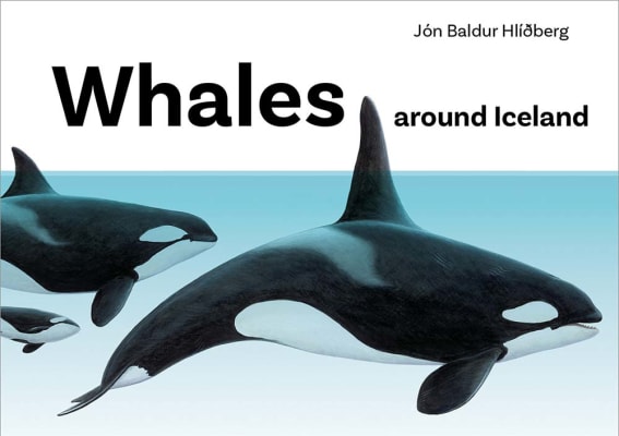 Whales around Iceland