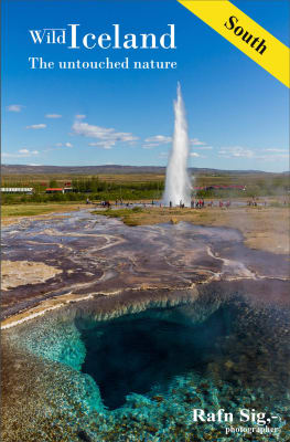 Wild Iceland - South