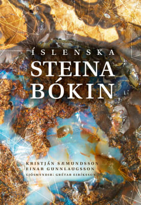 Íslenska steinabókin