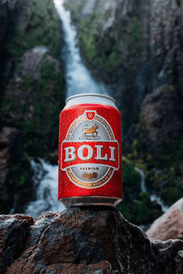 Boli / 12 dósir