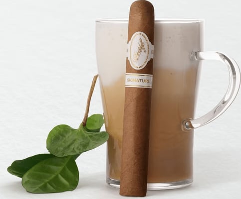 Davidoff Signature 6000