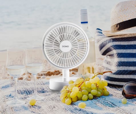 Domo Þráðlaus USB-C borðvifta