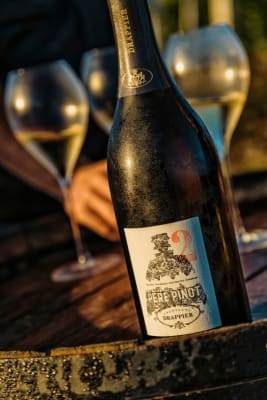 Drappier Pére Pinot