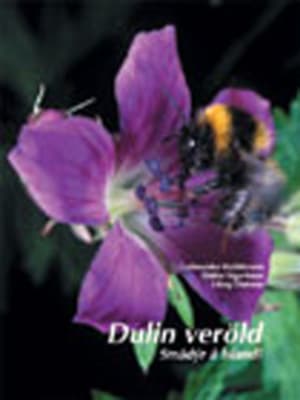 Dulin veröld