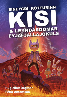 Eineygði kötturinn Kisi & leyndardómar Eyjafjallajökuls