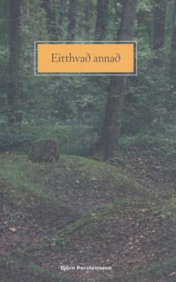 Eitthvað annað
