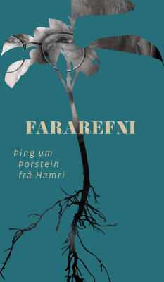 Fararefni, þing um Þorstein frá Hamri