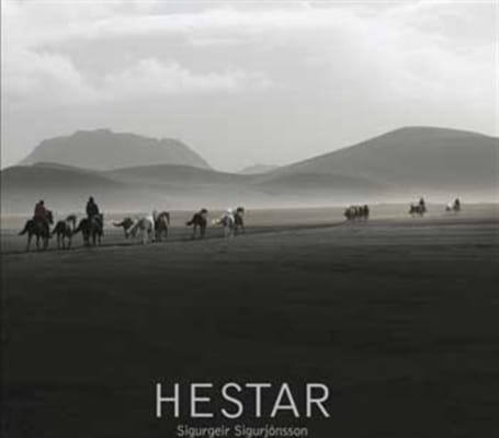 Hestar - íslensk