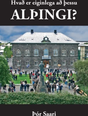 Hvað er eiginlega að þessu Alþingi?