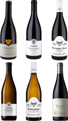 Inngangur að Búrgúndí / Rautt & Hvítt