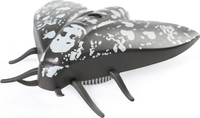 Jalo - Lento 10 black