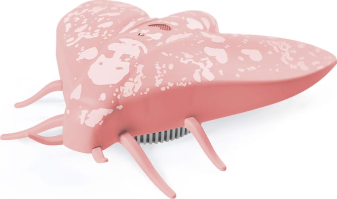 Jalo - Lento 10 rose