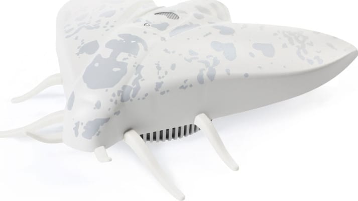 Jalo - Lento 10 white